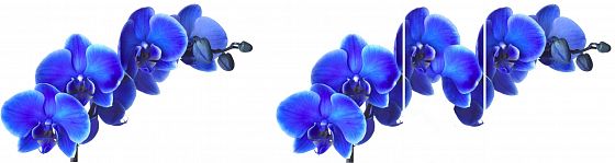 Стол-тумба "Трансформер" - Синие цветы (167744783)