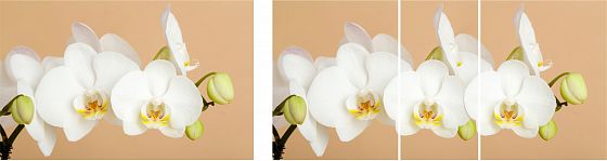Стол "Грация" (1,45) раздвижной Стекло матовое (опоры массив) - Белая орхидея (К-29)